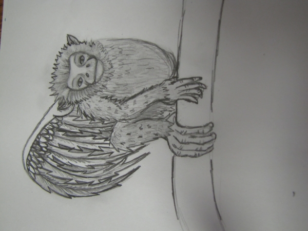 Creation of monkeying around: Step 3